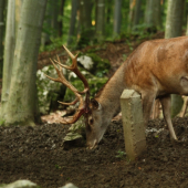 VYTLCENY ZA 24 HODIN 2.