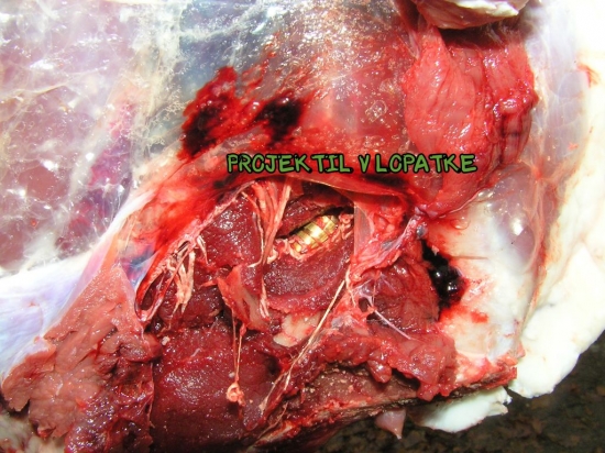 NABOJ IMPALA  CAL. 30-06  FOTO.č.2.