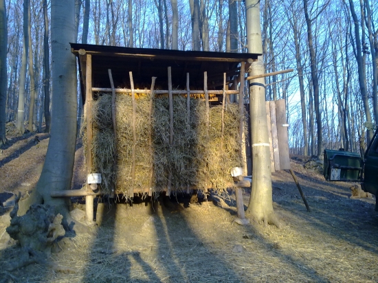 ZA  DVA DNI BUDE PRAZDNY