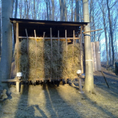 ZA  DVA DNI BUDE PRAZDNY