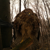 PAR SEKUND PRED VYPUSTENIM NA SLOBODU