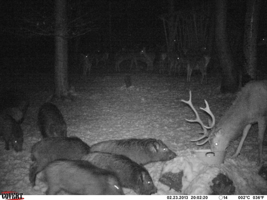 UHNI OD LAVORA PAROHAC