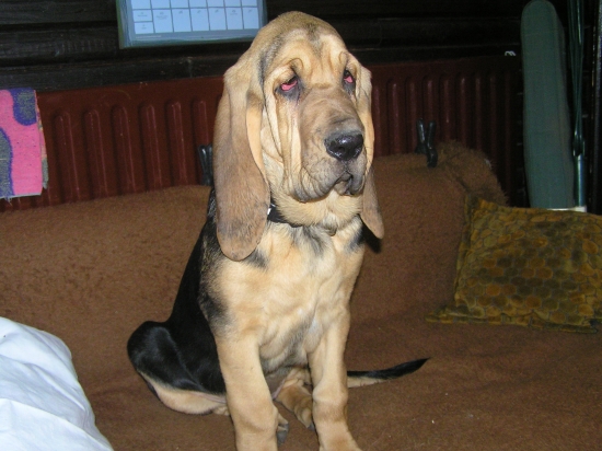 OD DNESNEHO DNA SOM UZ SLOVENKA