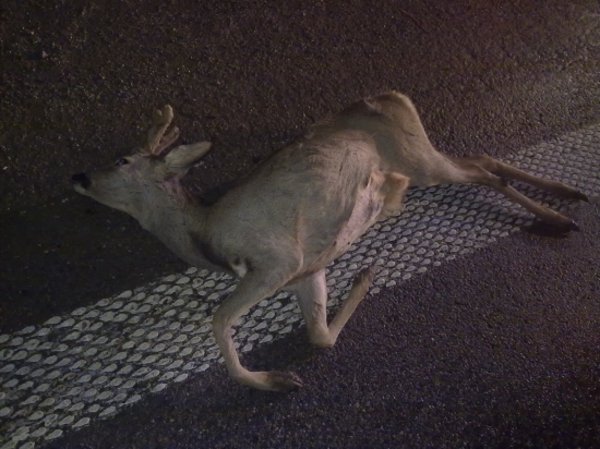 PRE ZMENU ZAS SEAT URADOVAL