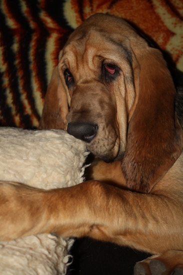 DORASTIEM DO TEJ KOŽE????????????