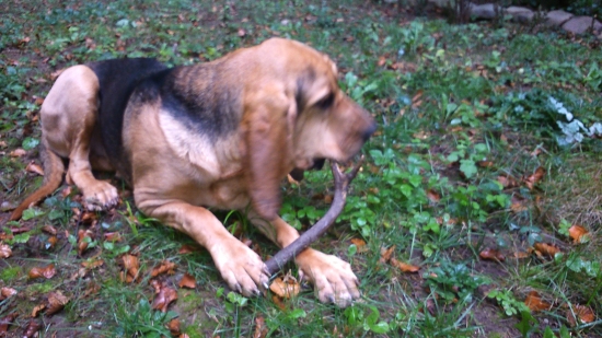 MOJ PRVY NAJDENY ZHODIK