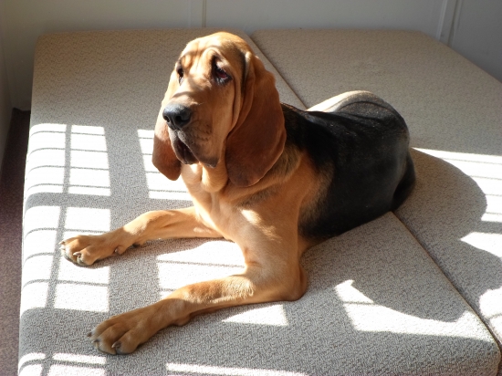 Už mám 9. mesiacov.