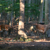 vratia sa vsetci?????????