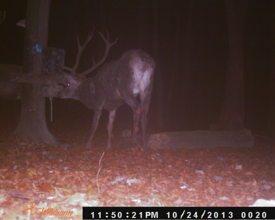 Špinochel zablateny tesne pred zdemolovanim krmidlla