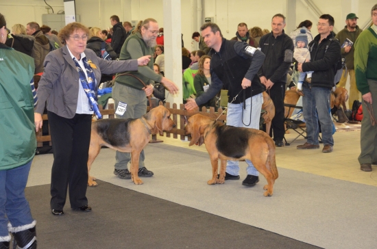 PRVA VYSTATAVA  VYSLEDOK - VYBORNA