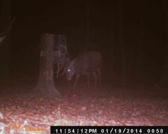 PRAZDNE TAK TO ROZMLATIM