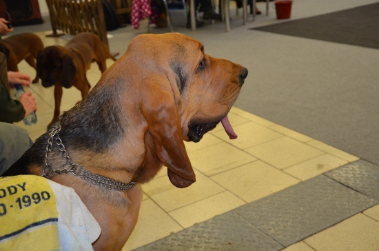 ESTE JEDNA Z VYSTAVY