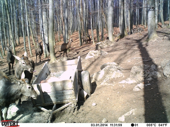 ZBERACI ICH TROSKA POPREHANALI