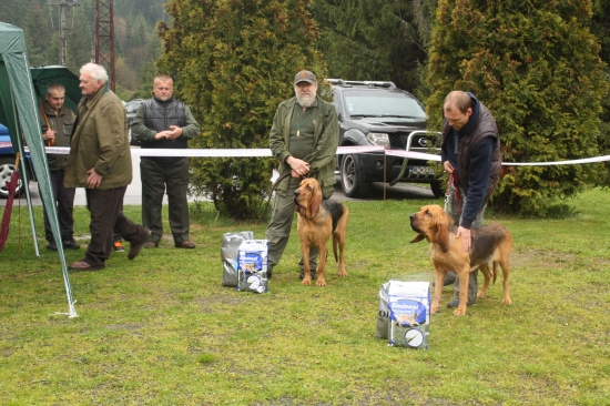 DVE ČEŠKY ŽIJUCE NA SLOVENSKU