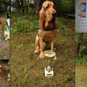 ČESKA ŽIJUCA NA SLOVENSKU USPEŠNE REPREZENTOVALA SLOVENSKO V ČECHACH 2.