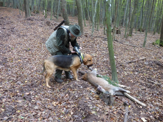 Ešte jedna zo skušok.