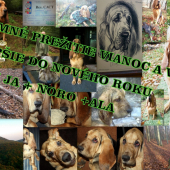 Vianočná