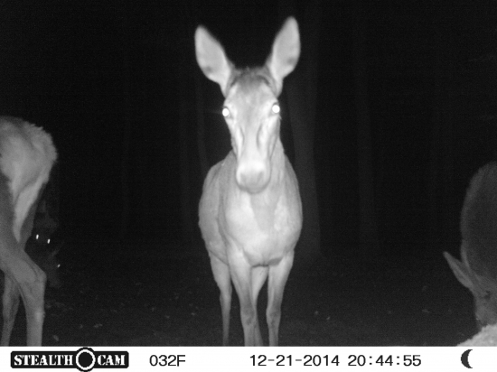 POVODNE SA MALA NARODIT AKO KON ALE V POSLEDNOM MOMENTE SI TO PAN BOH ROZMYSLEL
