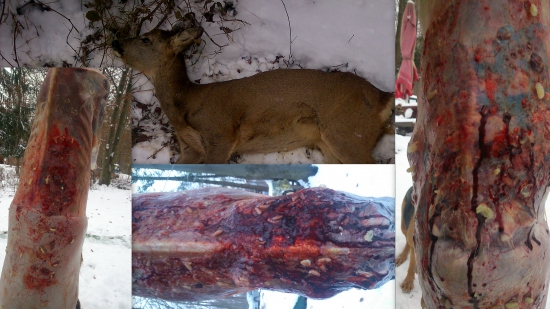 PODKOZNA STRECKOVITOST