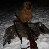 SPLN JANUAR 2009