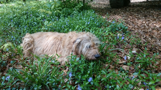Čakanie na pomoc už sa nedokáže zdvihnúť bez pomocnej ruky.