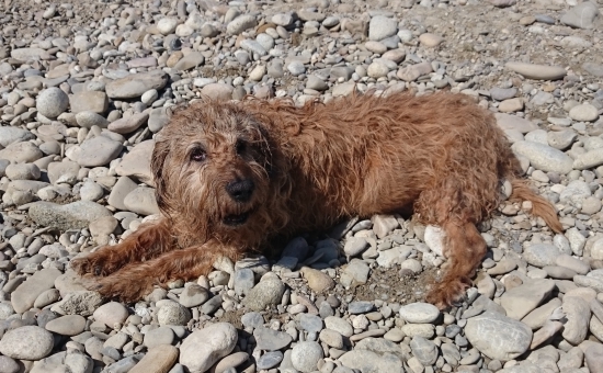 Starec sa bol kúpať na bagrovisku.