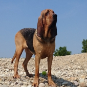 Plážová
