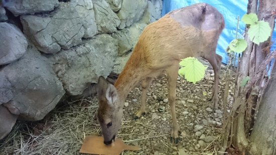 Už je na tom lepšie