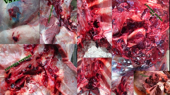 BLASER CDP 8,4g-270 win