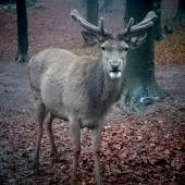 56 dní od zhodenia slušne rastú
