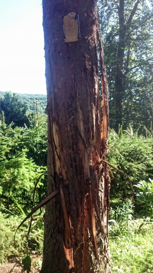 Názorná ukážka funkčnosti chemického ohradniku.