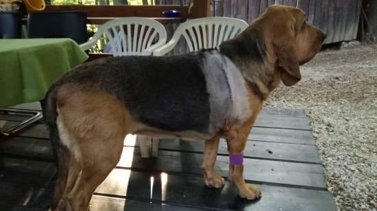 24 hodín po štopkaní