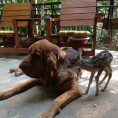 Náhradná mama keď tú moju auto zrazilo.