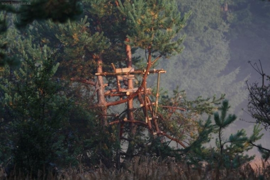 PREDPISOVY V STREDE RUJOVISKA
