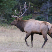 PAR SEKUND PRED SUBOJOM