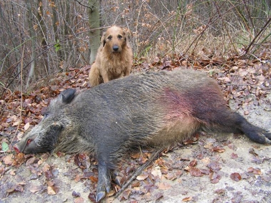 DOHLADAL SOM ALE JE JEJ SKODA