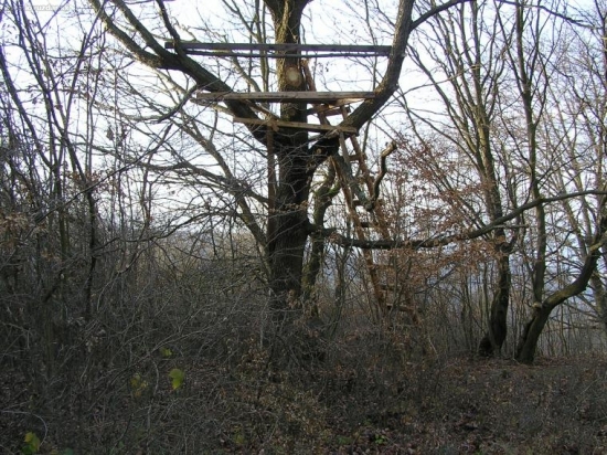 PERFEKTNE PRIKLINCOVANY !?!?!?!?!?!?!?