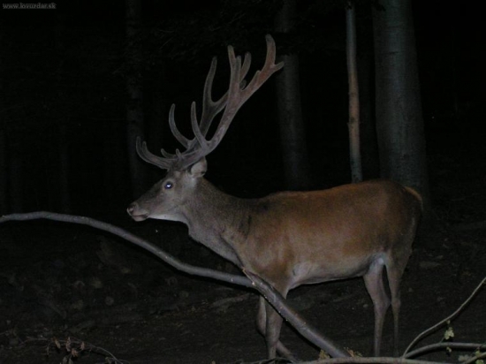 TAK JE TO VYRAD ALEBO NIE??????