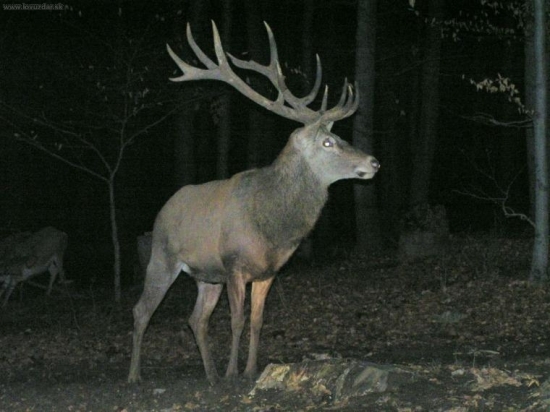 AJ TAKYTO SA STRIELAJU