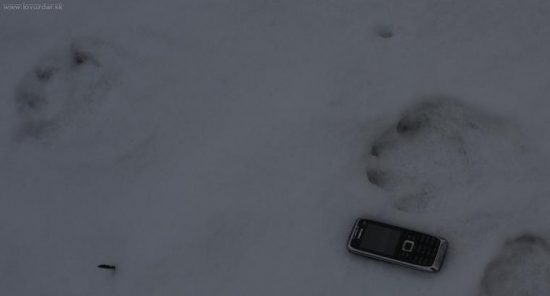 CO JE TO ZA STOPU 1.