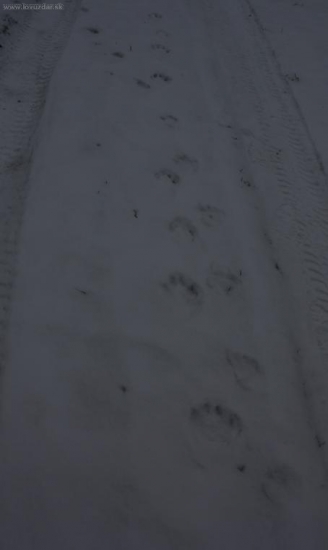 CO JE TO ZA STOPU 2. ??????