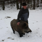 STEFAN + SASA NA VYCVIKU POSLUSNOSTI