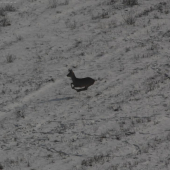 FOTO Z BALONA VYSKA 400M