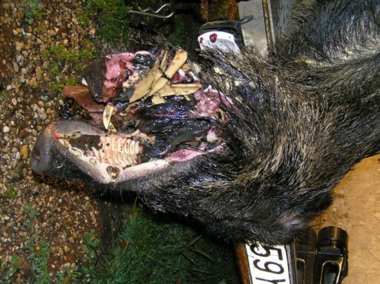 VYSLEDOK (rana za usko) 2