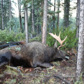 ZASAH NIC MOC A ODBEHOL LEN 150M