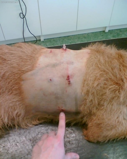 ZANEDBATELNE ZRANENIE ZA 7000SK