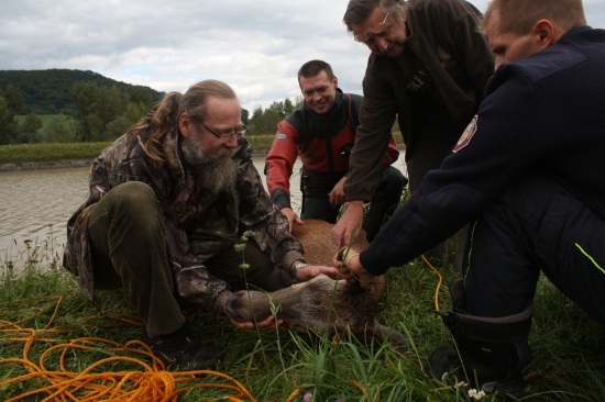 DNESNA ZACHRANNA AKCIA
