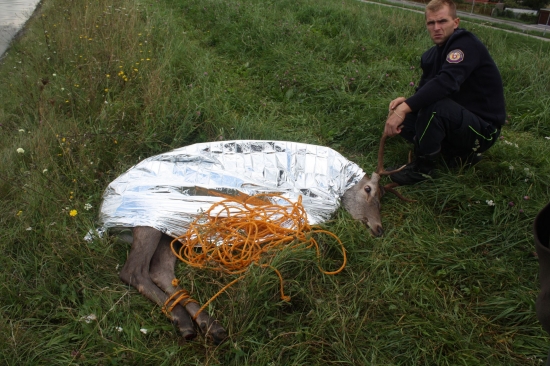 DNESNA ZACHRANNA AKCIA  2.