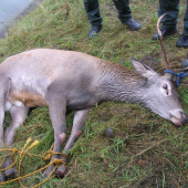FOTO PRED SMUTNYM KONCOM