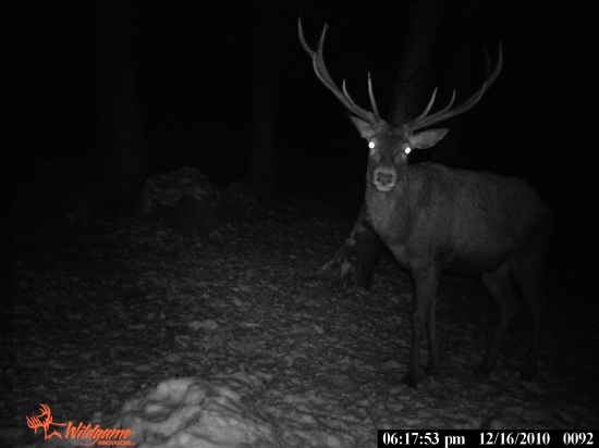 SKUSKA NOVEHO FOTO ZARIADENIA